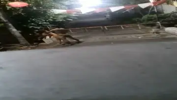 Bersetubuh Gaya Doggy Di Area Komplek Sepi Ganas poster